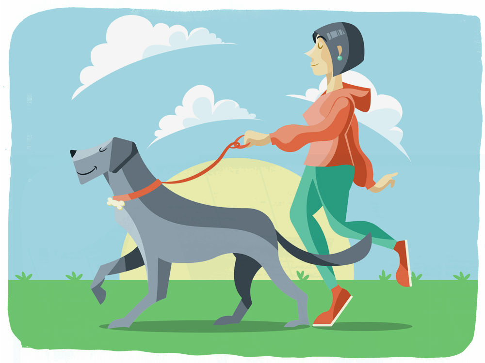 Dog Walkies in the Park